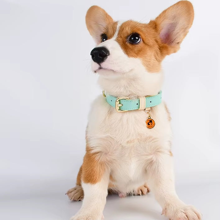 Genuine Leather Dog Collar – Adjustable for Small, Medium & Large Dogs