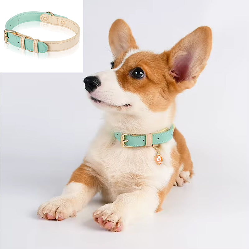 Genuine Leather Dog Collar – Adjustable for Small, Medium & Large Dogs