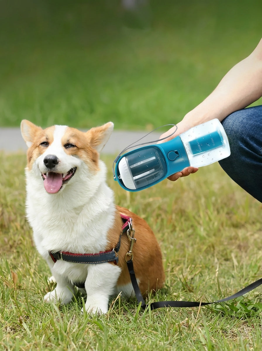 Dog on a leash with a person holding a blue and white device in a grassy outdoor setting